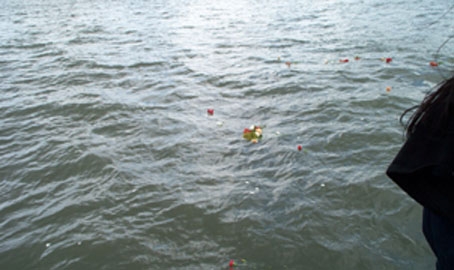Photograph of flowers floating at sea